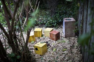 Boxes2